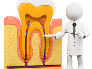 conservative-dentistry-and-endodontic